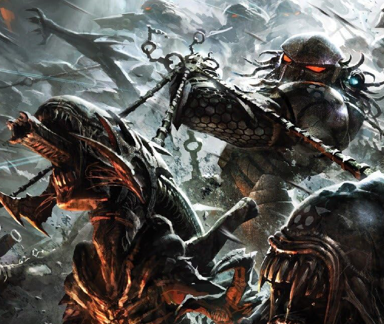 avp: 3ww cvr